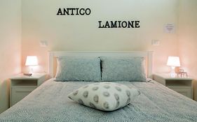 Antico Lamione